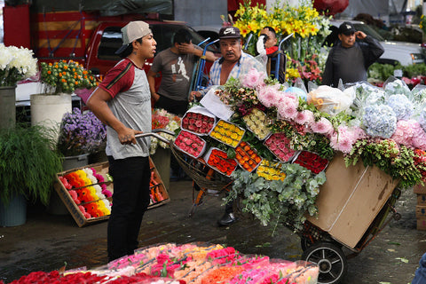 A man pushes a cart full of flowers at Mercado de Jamaica market in Mexico City (CDMX), Mexico
