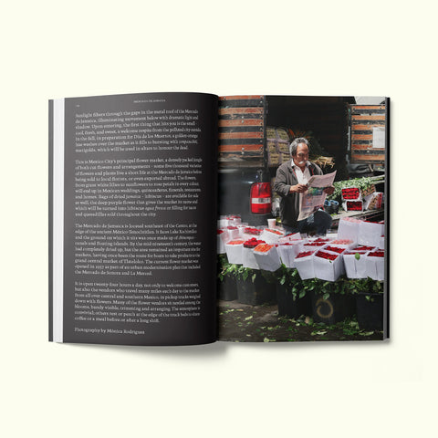 An interior spread of Fare magazine's Mexico City (CDMX) city guide, featuring a photograph of a man reading the newspaper whilst selling flowers at Mercado de Jamaica market