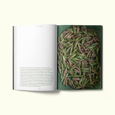 An interior spread of Fare magazine's Kampala, Uganda city guide, featuring a photograph of grasshoppers ready to be fried