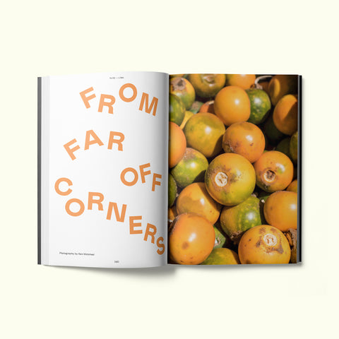 An interior spread of Fare magazine's Lima, Peru city guide, featuring a photograph of fruit at the market