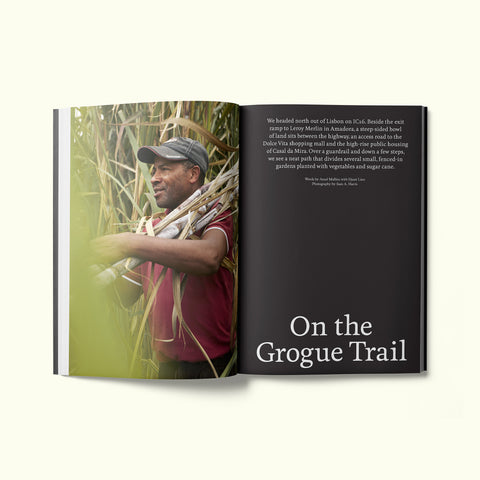 An interior spread of Fare magazine's Lisbon, Portugal city guide, featuring a photograph of a man harvesting sugar cane to make grogue