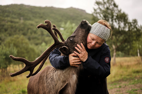 Sámi reindeer herder Máret Rávdná Buljo hugs one of her reindeer in the mountains of North Norway